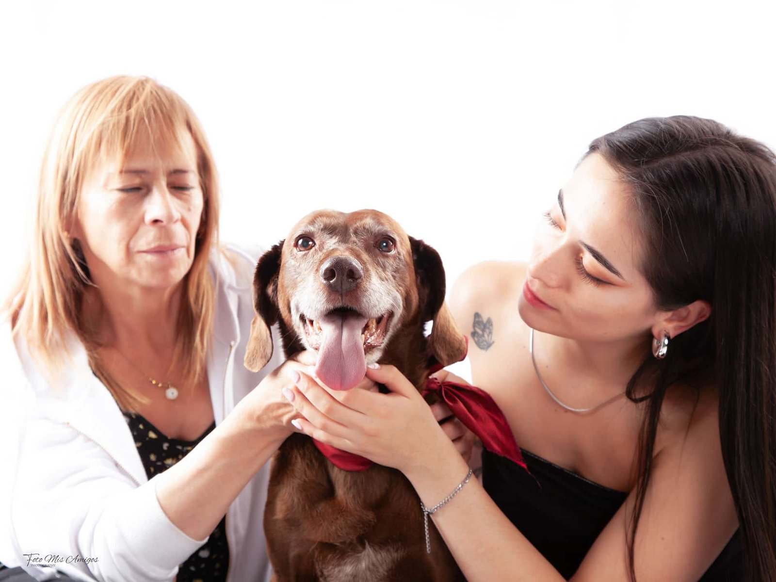 foto estudio mascotas