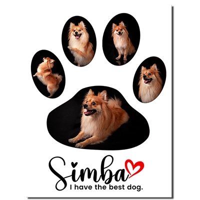 Placa de aluminio sublimada personalizada con 5 fotos de mascota