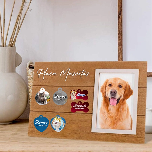 Placas personalizadas para mascotas en forma de corazón, hueso y círculo fabricadas en acero inoxidable con impresión sublimada por ambas caras